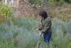  Recognizing the Role of Rural Women in Kosovo