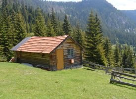 The Million-Star Guesthouse